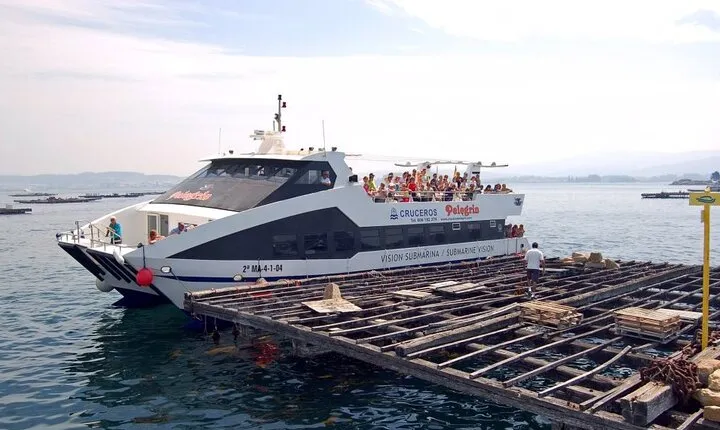 Rias Baixas Tour with Winery and Boat (optional)