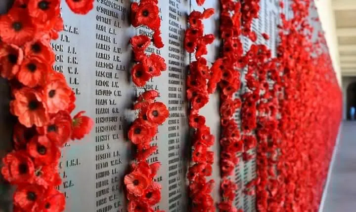 2-Day Gallipoli Tour from Istanbul - Small Group