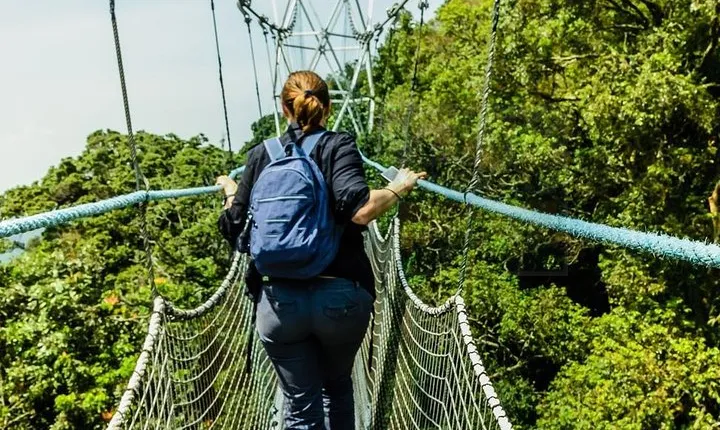 2-Day Custom itinerary in Nyungwe National Park (Chimpanzee Tracking)