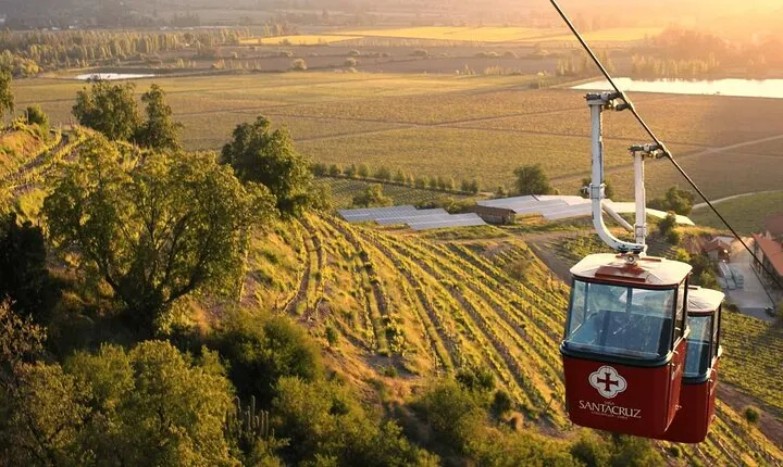 Wine Private Tour in Santa Cruz Vineyard