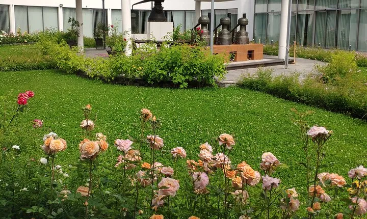 Private Virtual Tour of the Bulgarian Roses and Rose Oil