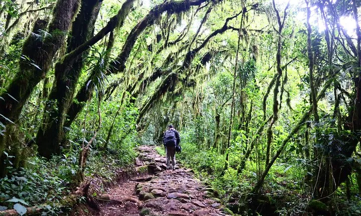 1 Day Mount Kilimanjaro