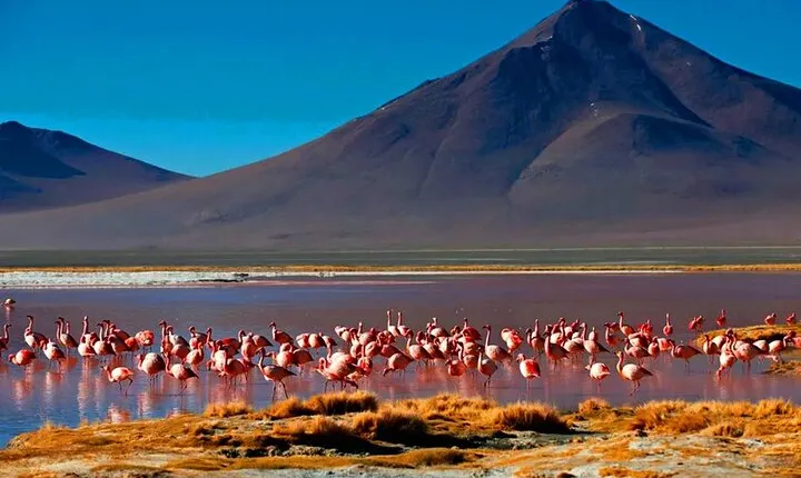 A day in the Uyuni salt flats
