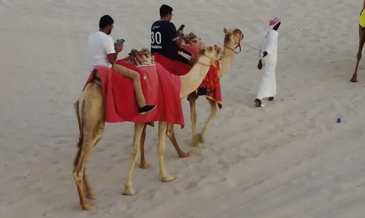 Private-Doha Horse Ride/Camel Ride/Quad Bike All Inclusive Tour