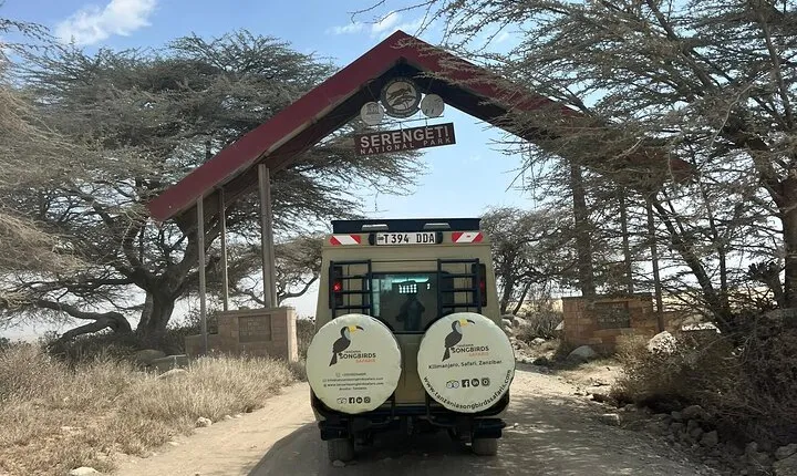 Tanzania Safari: 7 Day Mid Range Adventure