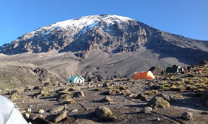7-Day Lemosho Route Hiking in Kilimanjaro