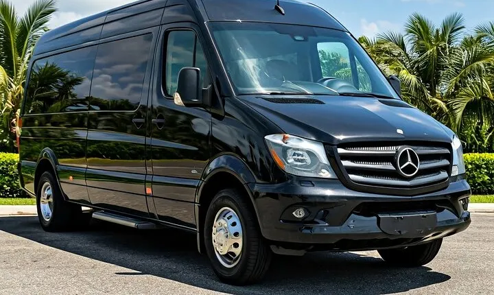 Rafina Port Arrival Private Transfer to City of Athens