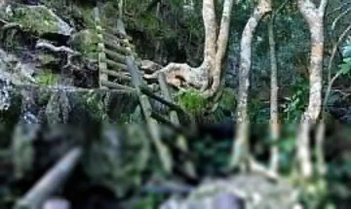 Skeleton Gorge Hike for Morning