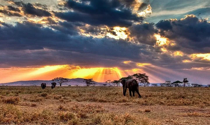 6 Days / 5 Nights Join group safari