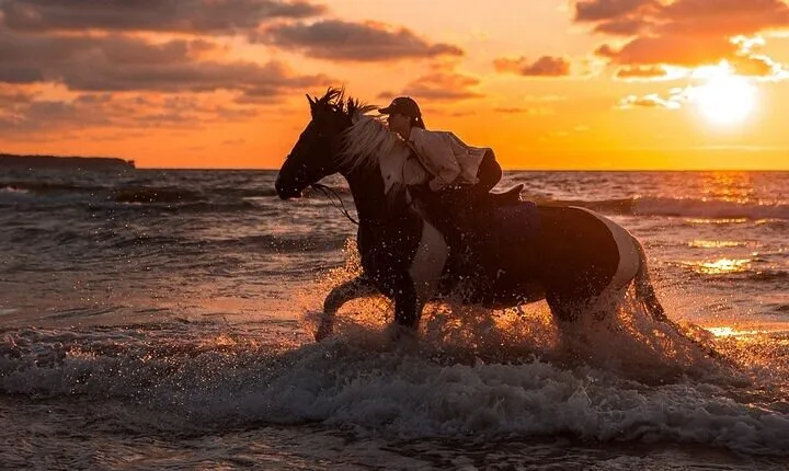 2-Hour of Horse Riding Experience by the Sea in Sharm El-Sheikh
