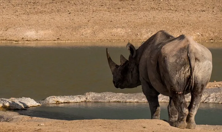 9 Day Canyons, Dunes & Wildlife Camping and Lodge Safari