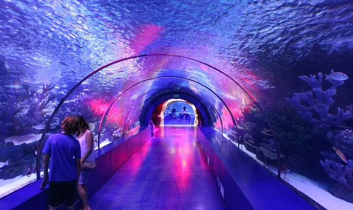 Full Day Antalya Aquarium & Gold Centre Visit with Old Town Tour