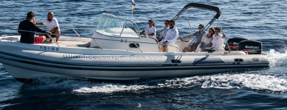 Private Tenerife Dolphin Watching Eco-cruise