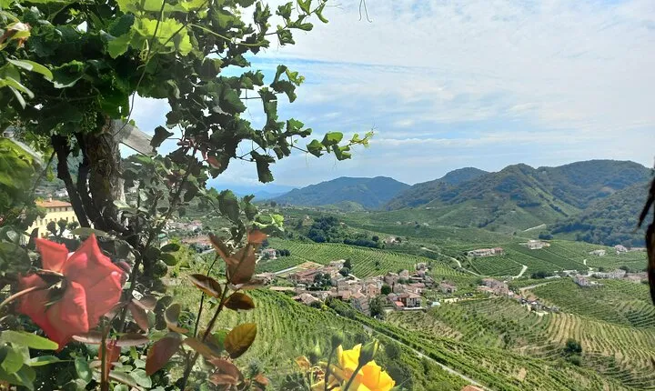 Prosecco hills wine and food tour from Venice and Treviso