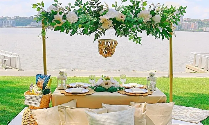 Central Park Luxury Picnic for 2