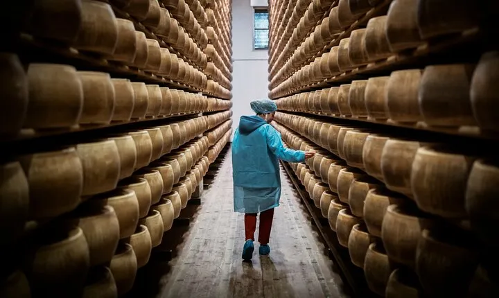 Private Parmigiano Balsamic Parma Ham and Wine Tasting Tour
