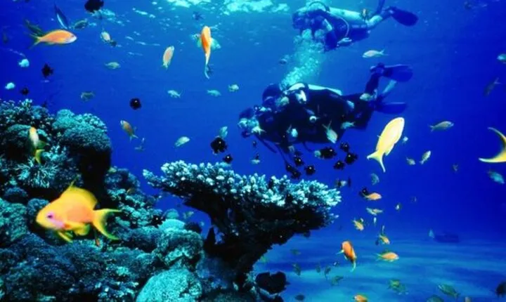 Full Day intro Scuba Diving & Snorkeling in Hurghada