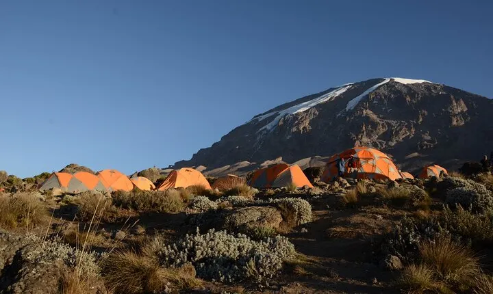 7-Day Kilimanjaro Hiking Tour via Machame Route