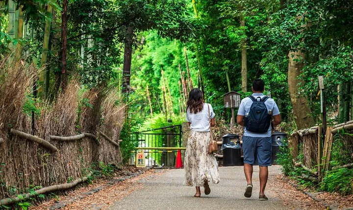 Kyoto Guided Tour of Bamboo Forest, Temple and more