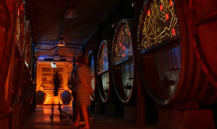 Wine tasting and immersive cellar tour