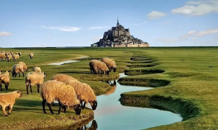 Private Day Trip to Mont-Saint-Michel and Rouen from Paris