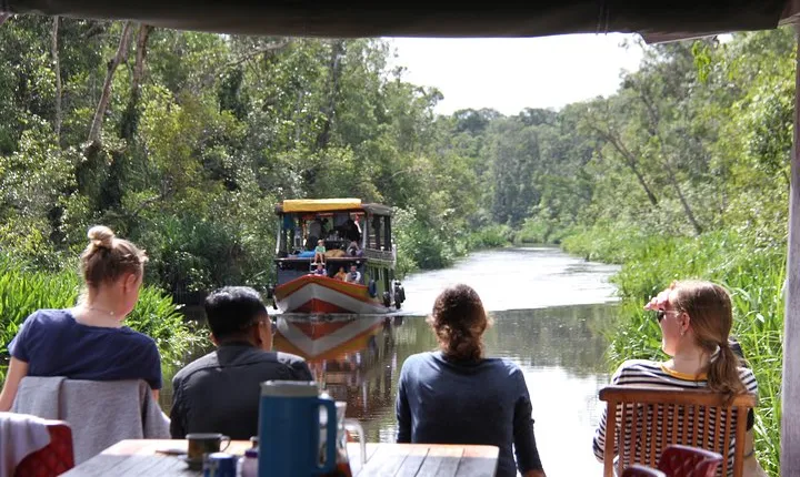 Tanjung Puting Orangutan Park 4 Days
