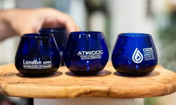 Superior Greek Olive Oil Tasting & Meal Overlooking Scenic Athens