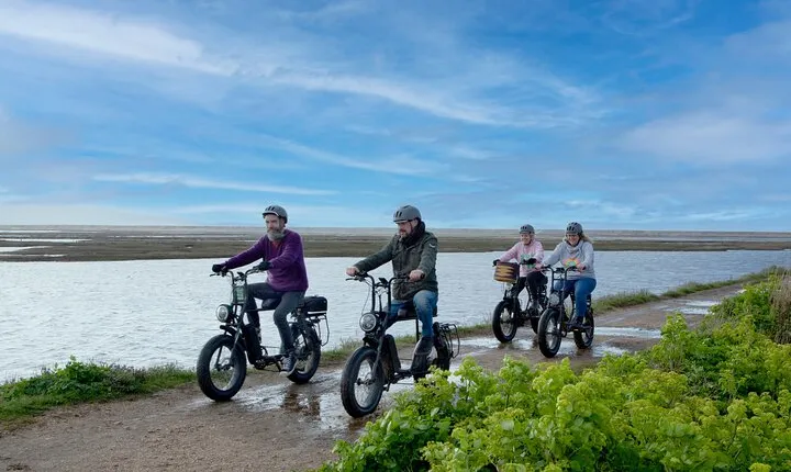 E-Bike Hire Experience exploring the New Forest