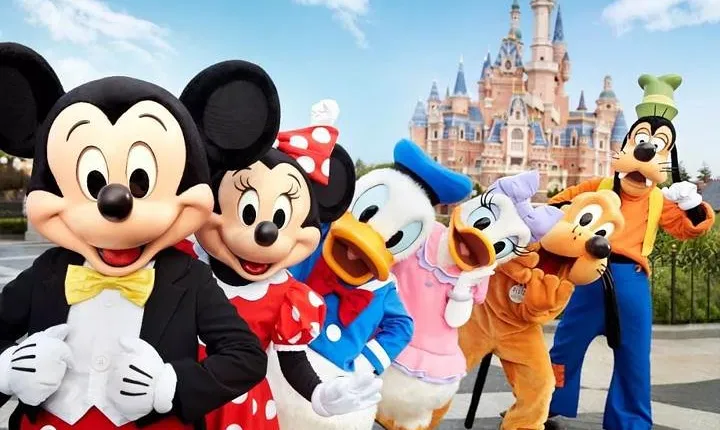 Shanghai Downtown Hotel to Disneyland Resort Round Trip Transfer
