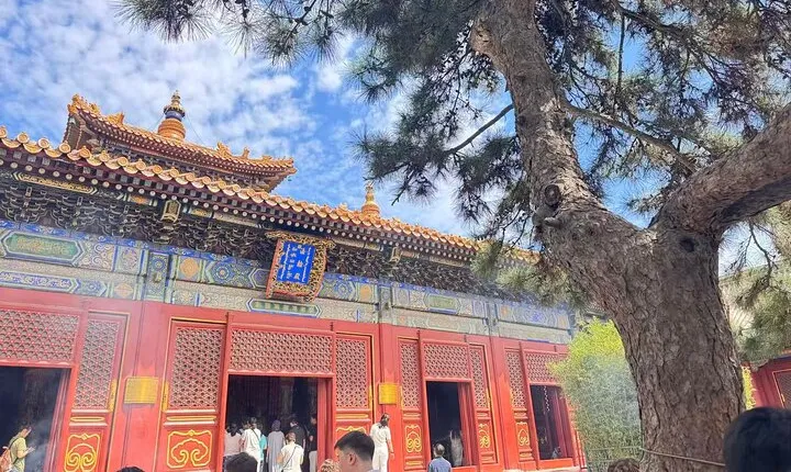 Private day: Lama Temple, Temple of heaven and Summer palace tour
