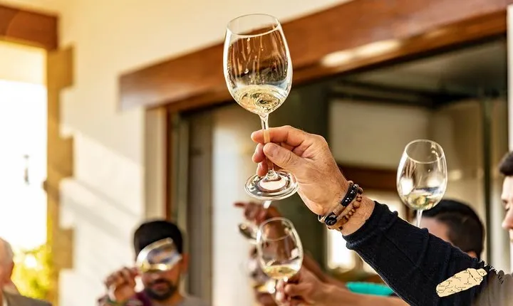 Bilbao Txakoli Wine Tour