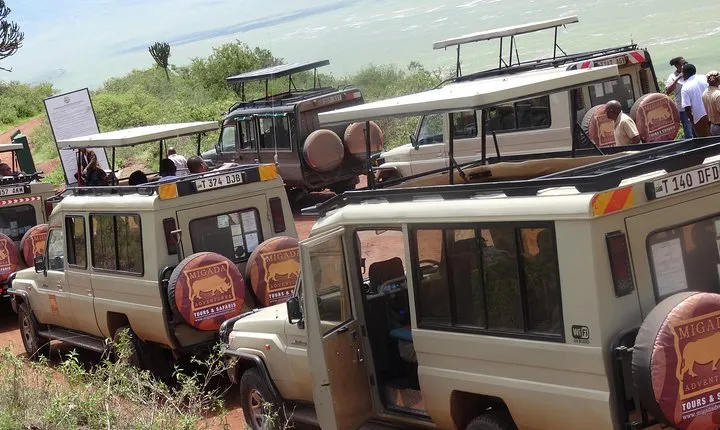 Ngorongoro Crater Day Tour