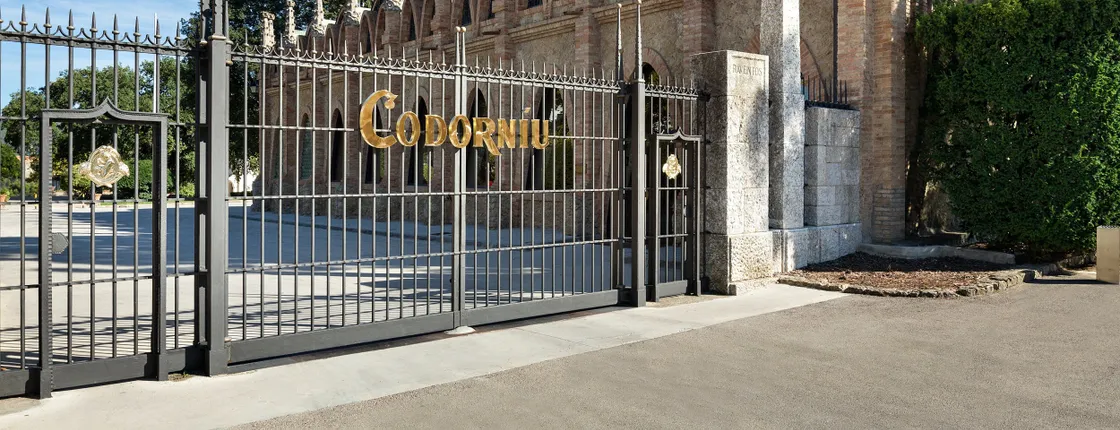 Codorníu winery guided tour with cava tasting