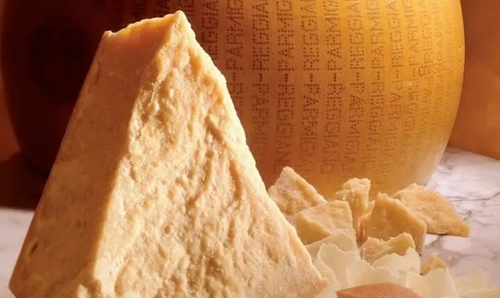 Bologna: the red medieval pearl and its delicious food (private tour)