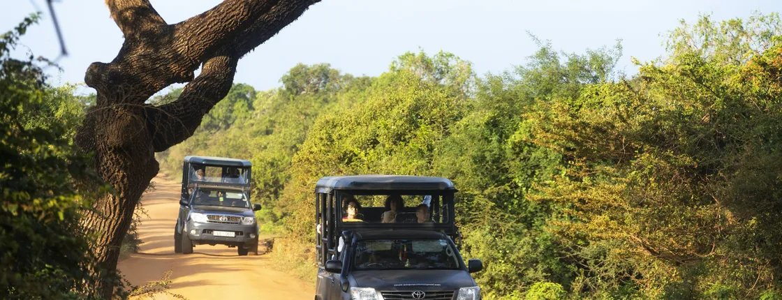Whale watching, Yala National Park and Galle 2-day tour from Bentota