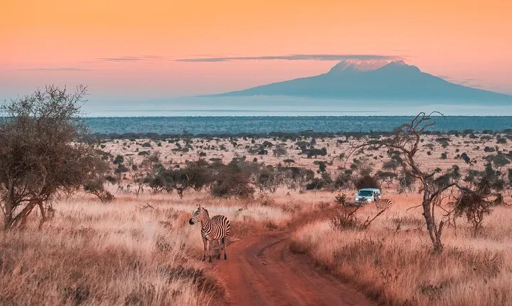 6 Days Mount Kilimanjaro Climbing via Rongai Route