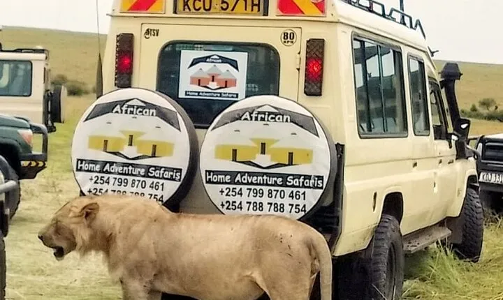 Adventure-fueled 3 Days Maasai Mara Safari