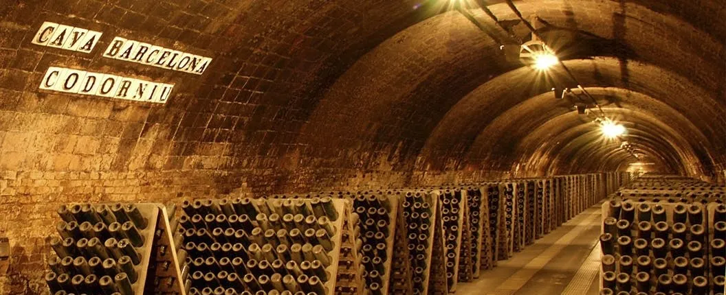 Casa Codorníu guided tour with 2 cava tasting and lunch