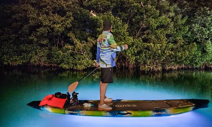Anna Maria Island Paddleboard Tours