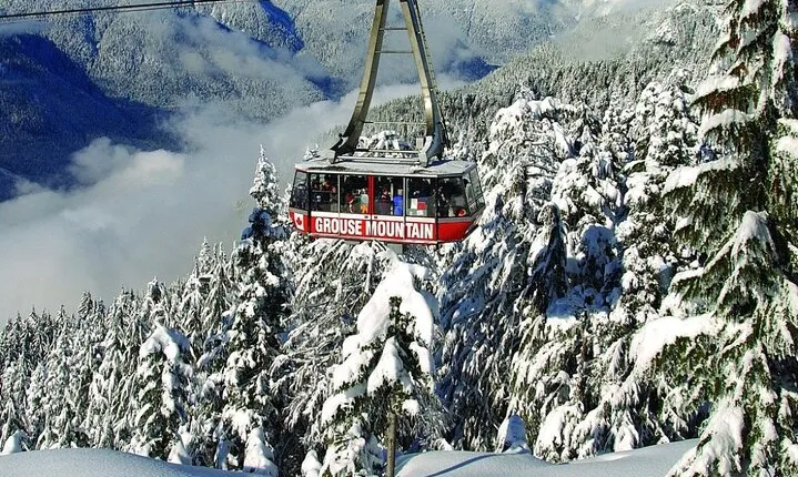 Private Tour of Capilano Suspension Bridge & Grouse Mountain.
