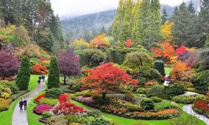 Vancouver, Victoria, Comox, Duncan,Nanaimo 2 day Explorer tour