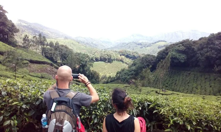 Munnar Tea Plantation Evening walking with Sunset View