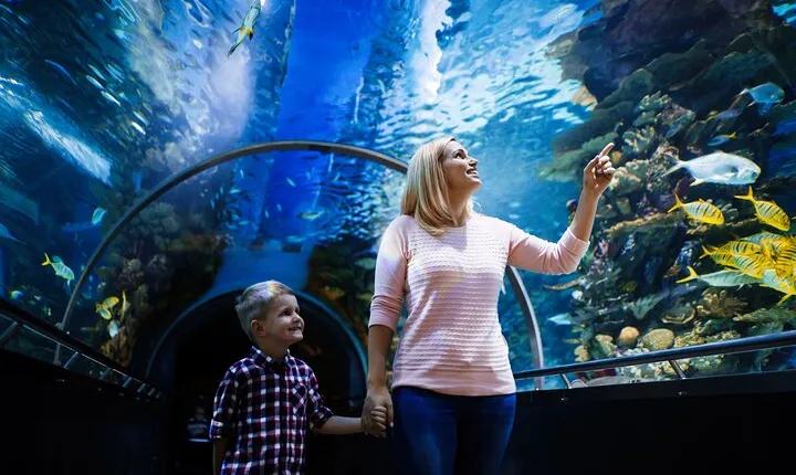 Antalya Aquarium, Wax Museum, Snow World, Wild Park, XD Cinema
