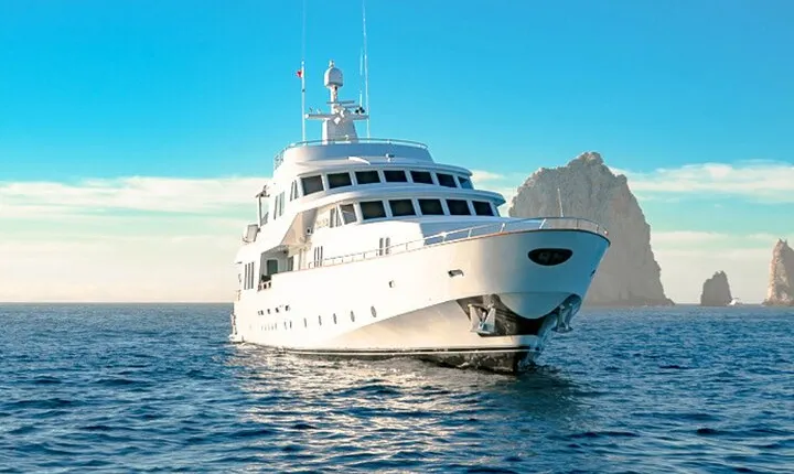 Journey to the Sea of Cortez - Gray Whales and Whale Sharks