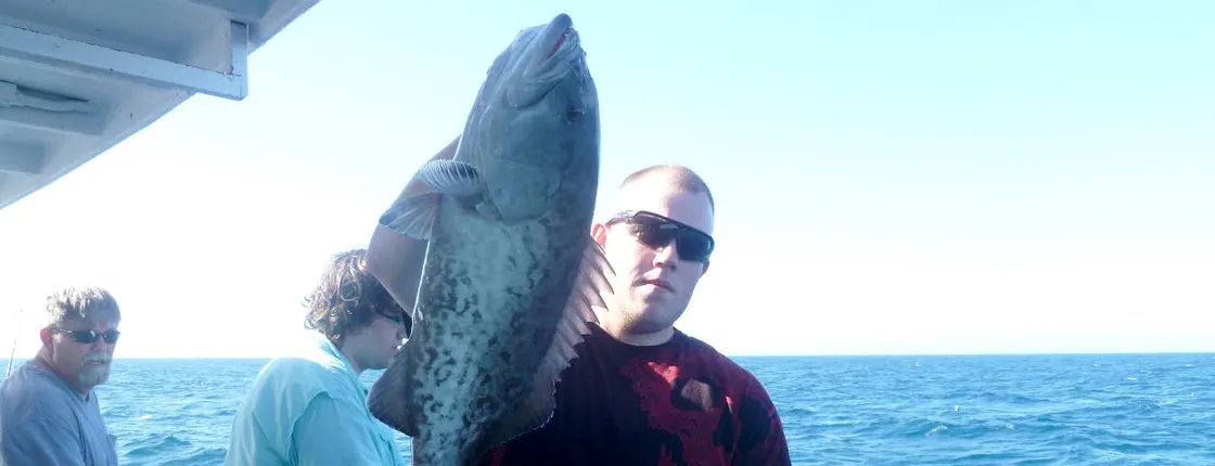 8-hour private big game fishing experience in Hollywood
