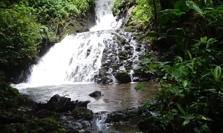 Hiking Experience in El Quetzal Private Reserve