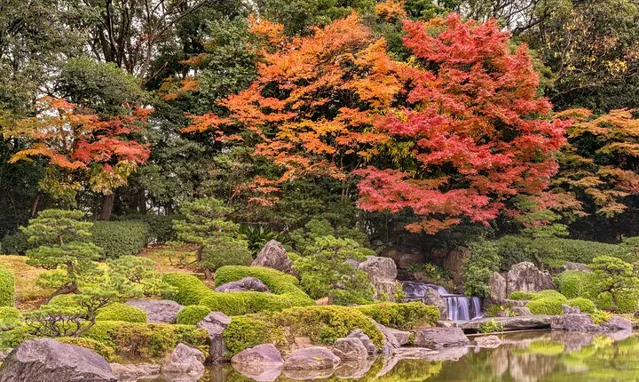 Historic Fukuoka: Castles, Shrines & Canal City Walk
