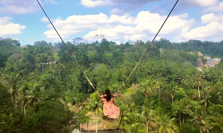 Ubud Tour with Jungle Swing and Waterfall Water Temple
