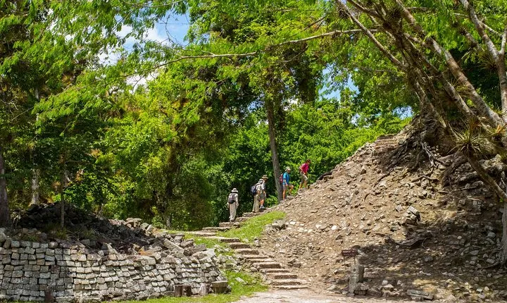 From San Pedro Sula: Mayan Ruins of Copan Day Trip