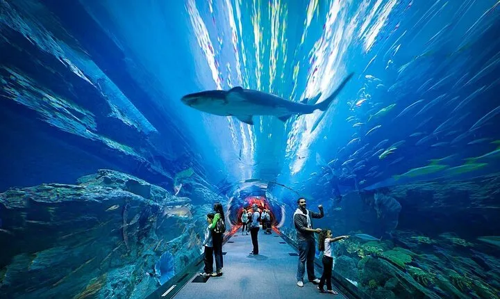 Dubai Aquarium and Underwater Zoo